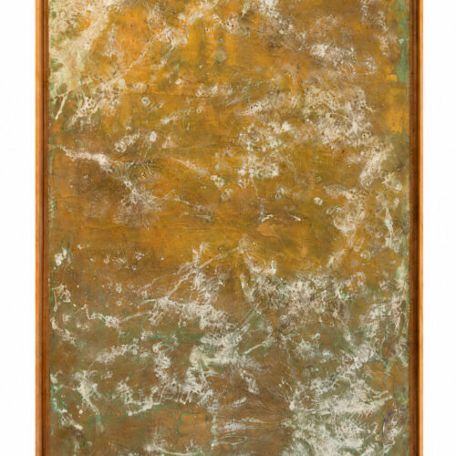 005 y 006