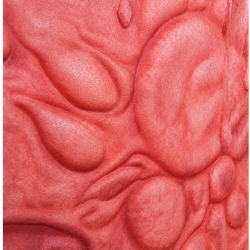 Flesh is a portal, Chronic Transcendence I Detail.