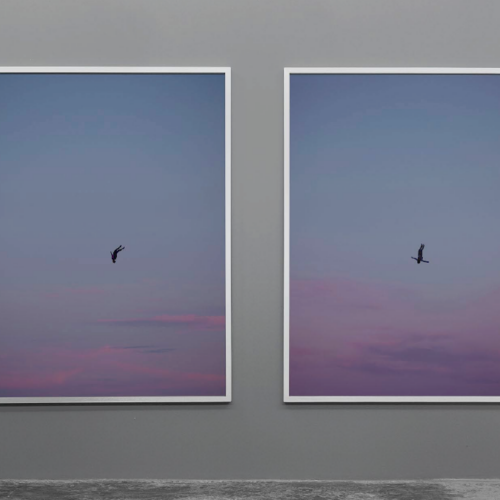 Time is the Enemy #5 and #3, 2018–2021 C-print diptych mounted on aluminum Dibond, white wood frames Approx. 81.102 x 61.417 x 2.756 in (206 × 156 × 7 cm) each, framed
