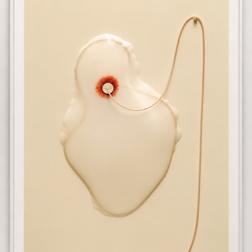 Untitled, 2024 Silicone and silicone tube over wooden board, 64.57 × 48.82 in (164 x 124 cm)