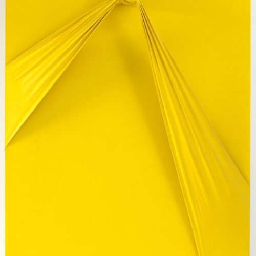 Quipus 20 A 1 (La fleur) Rome, 1966 – Paris, 1971 Acrylic and knotted fabric on wood 39 3/8 × 31 7/8 × 7 1/8 in (100 × 81 × 18 cm) Solomon R. Guggenheim Museum, New York Collection