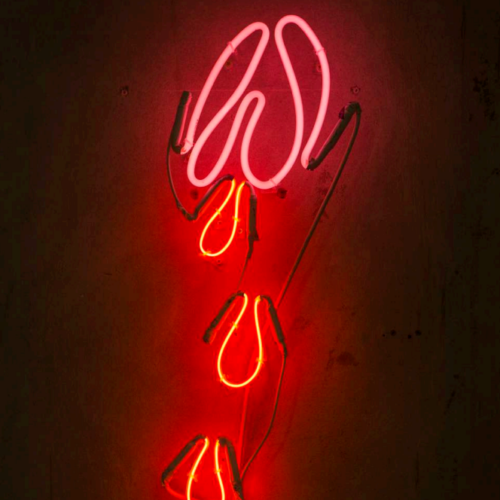 Pink Clock, 2019 Neon 47 x 10 in (120 x 25 cm)