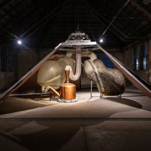 Primal Organ: condensador de cuerpos Esfíncter (Genietta Varsi & Luis Enrique Zela-Koort) 13va Bienal de Mercosur (Porto Alegre, Brasil) Instalation view