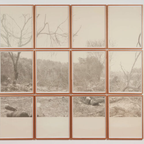 Jerry-B.-MARTIN Indented Landscape, 2013 Drawings composed through the transcription of the text El Puño Invisible: arte, revolución y un siglo de cambios culturales by Carlos Granés 24 × 33.9 in each (61 × 86 cm each) 96 x 135.6 in (244 x 344 cm)