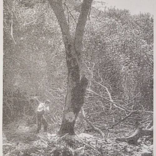 Jerry-B.-MARTIN Indented Landscape, 2013 Drawings composed through the transcription of the text El Puño Invisible: arte, revolución y un siglo de cambios culturales by Carlos Granés Detail