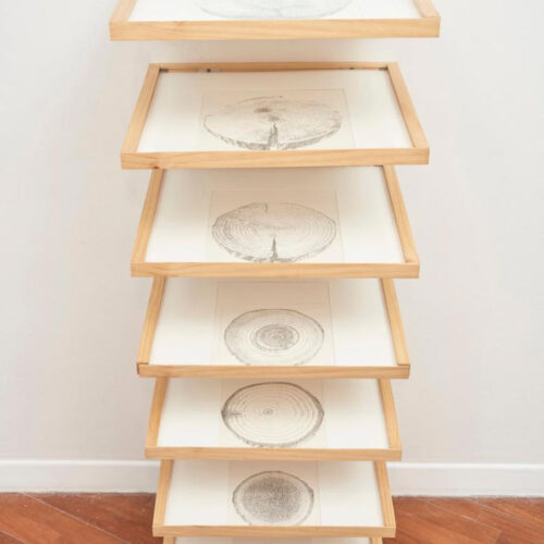 Jerry-B.-MARTIN Sinergia II, 2010 Typeset drawing using texts produced by municipal scribes A collective reconstruction of a fallen tree through its textual content 66.9 x 20.5 x 21.3 in (170 x 52 x 54 cm)