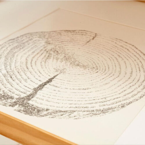 Jerry-B.-MARTIN Sinergia II (detail), 2010 Typeset drawing using texts produced by municipal scribes A collective reconstruction of a fallen tree through its textual content Detail
