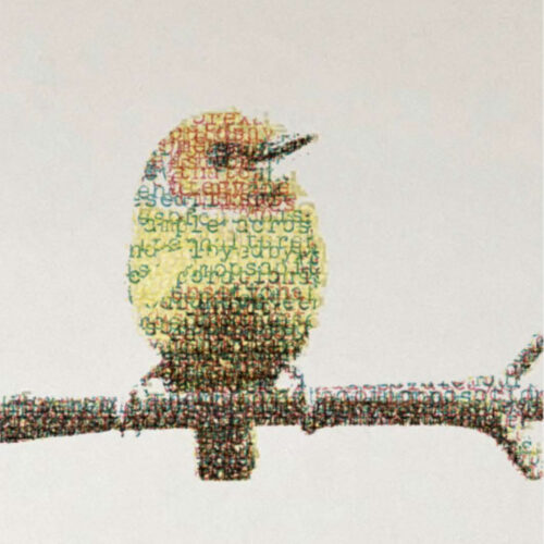 Jerry-B.-MARTIN The Sound of Image, 2025 Typeset drawing; typewritten text on paper using color dot-matrix printer ribbon; wood drawers Detail