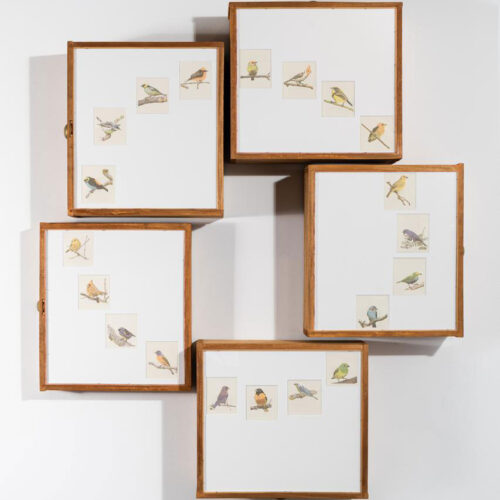 Jerry-B.-MARTIN The Sound of Image, 2025 Typeset drawing; typewritten text on paper using color dot-matrix printer ribbon; wood drawers Detail